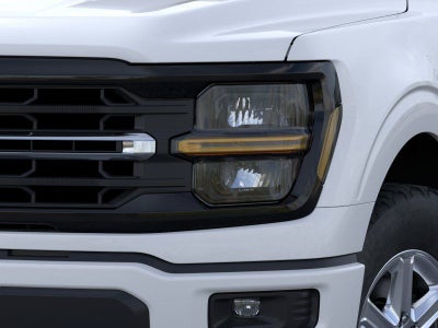 2026 Ford F-150 XLT Fleet